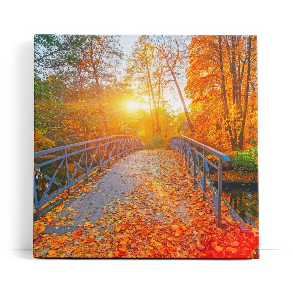 Herbstblätter Herbst Holzbrücke Bach Sonnenschein