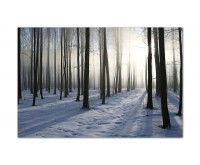 120x80cm Wald Schnee Winter Sonnenstrahlen