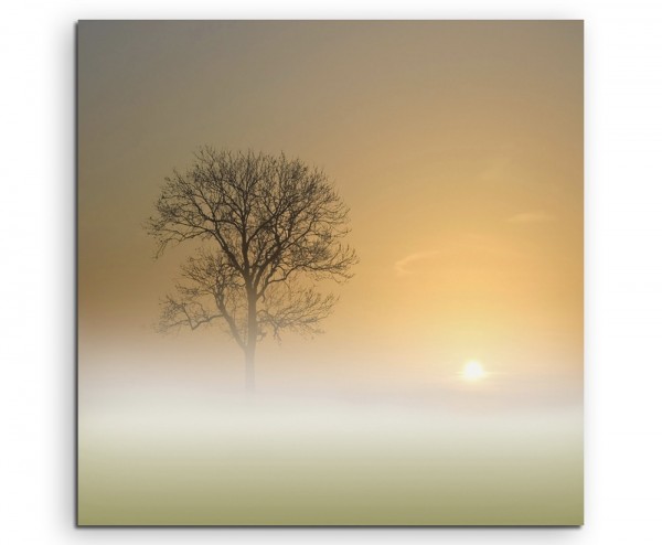 Landschaftsfotografie – Nebelige Landschaft bei Sonnenaufgang auf Leinwand