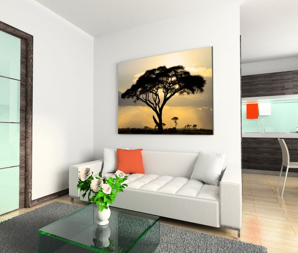 120x80cm Wandbild Afrika Akazie Baum Sonnenuntergang