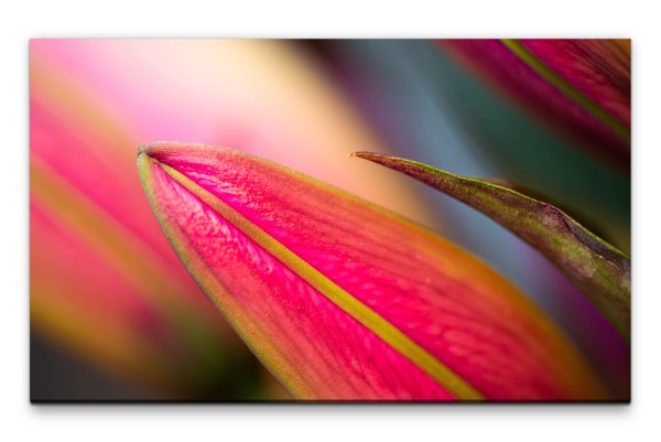 Bilder XXL Pink Wandbild auf Leinwand