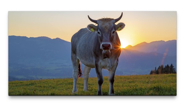 Bilder XXL Kuh auf der Alm 50x100cm Wandbild auf Leinwand