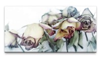 Bilder XXL Vertrocknete Rosen 50x100cm Wandbild auf Leinwand