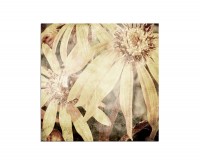 80x80cm Blumen Blüten Astern