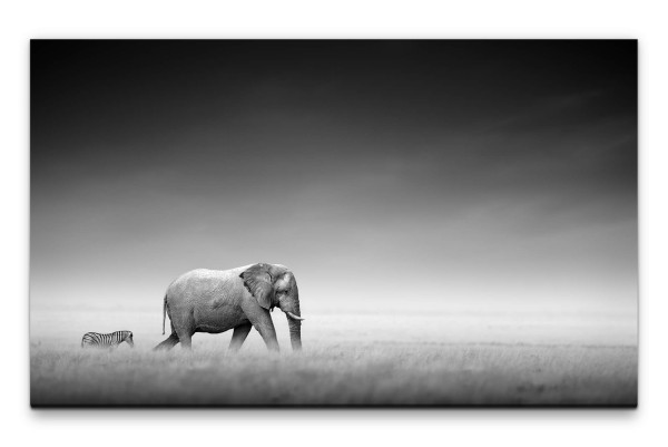 Bilder XXL Elefanten mit Zebra Wandbild auf Leinwand