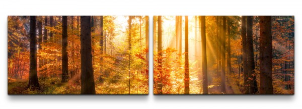 Sonnendurchfluteter Herbstwald Wandbild in verschiedenen Größen