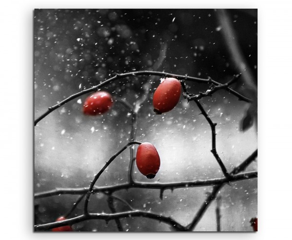 Naturfotografie Hagebutten im Schnee auf Leinwand exklusives Wandbild moderne Fotografie für ihre