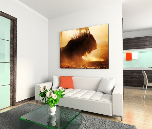 120x80cm Wandbild Südafrika Kalahari Wüste Gnu Sand Dunst