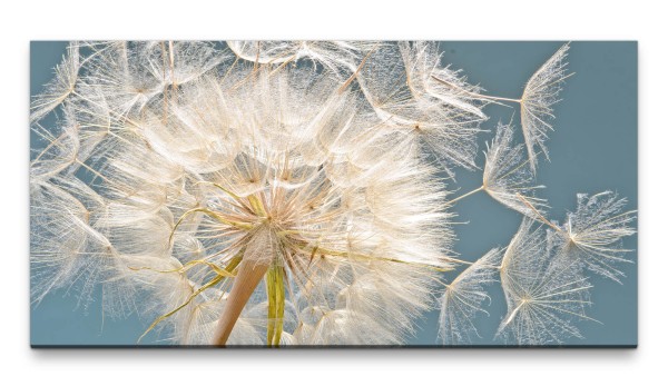 Bilder XXL Pusteblume mit fliegenden Schirmchen 50x100cm Wandbild auf Leinwand