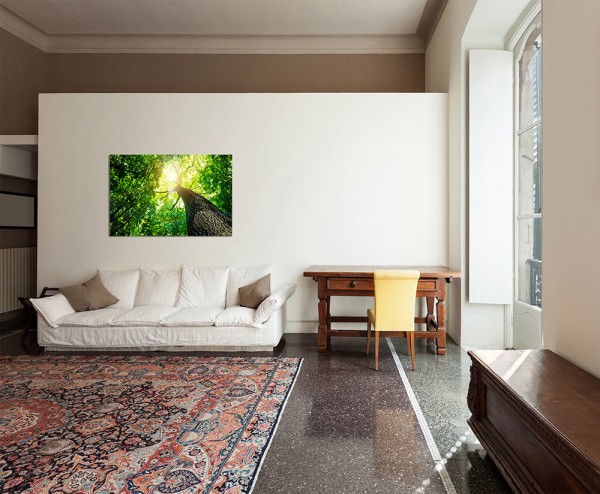 120x80cm Baumkrone Wald Sonnenstrahlen Natur