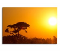 120x80cm Wandbild Afrika Landschaft Sonnenaufgang